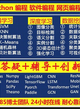 python图像分割检测识别创新深度学习接单跑程序编程特惠制作设计