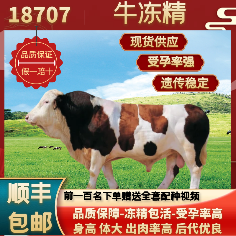 高温牛冻精西门塔尔肉18707种牛冻精/牛精子/牛精液/牛种子人工授