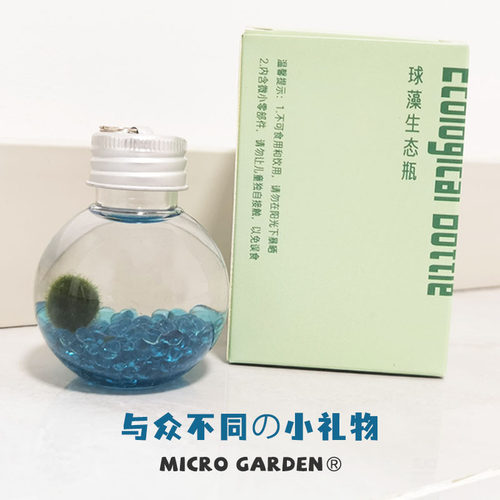 小海藻球随身瓶生日礼物毕业懒人学生迷你植物水培生态瓶桌面宠物