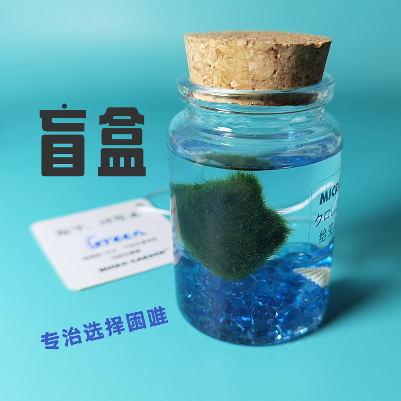 生态瓶marimo水培福袋盲盒海藻球