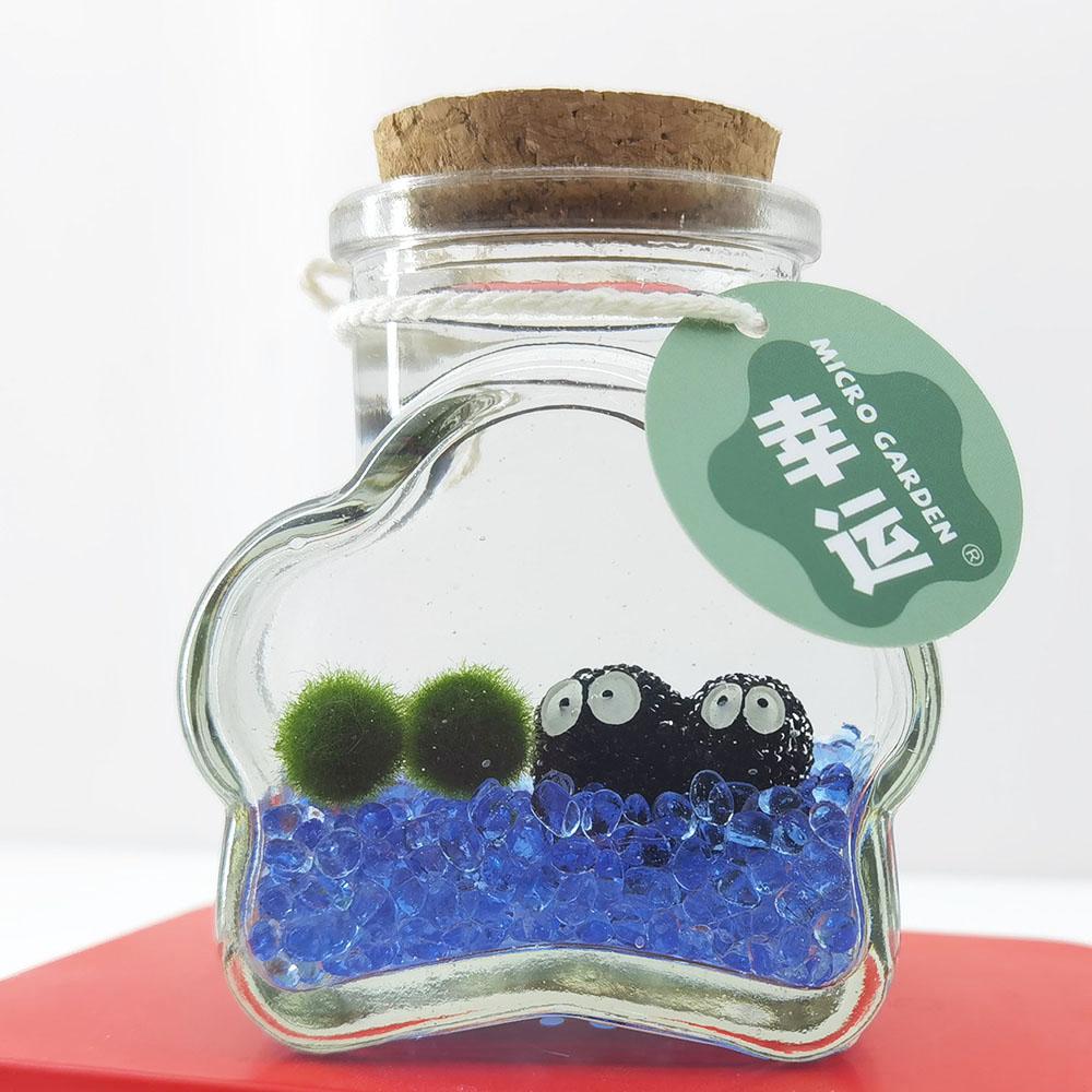 掌心花园懒人水培海藻球