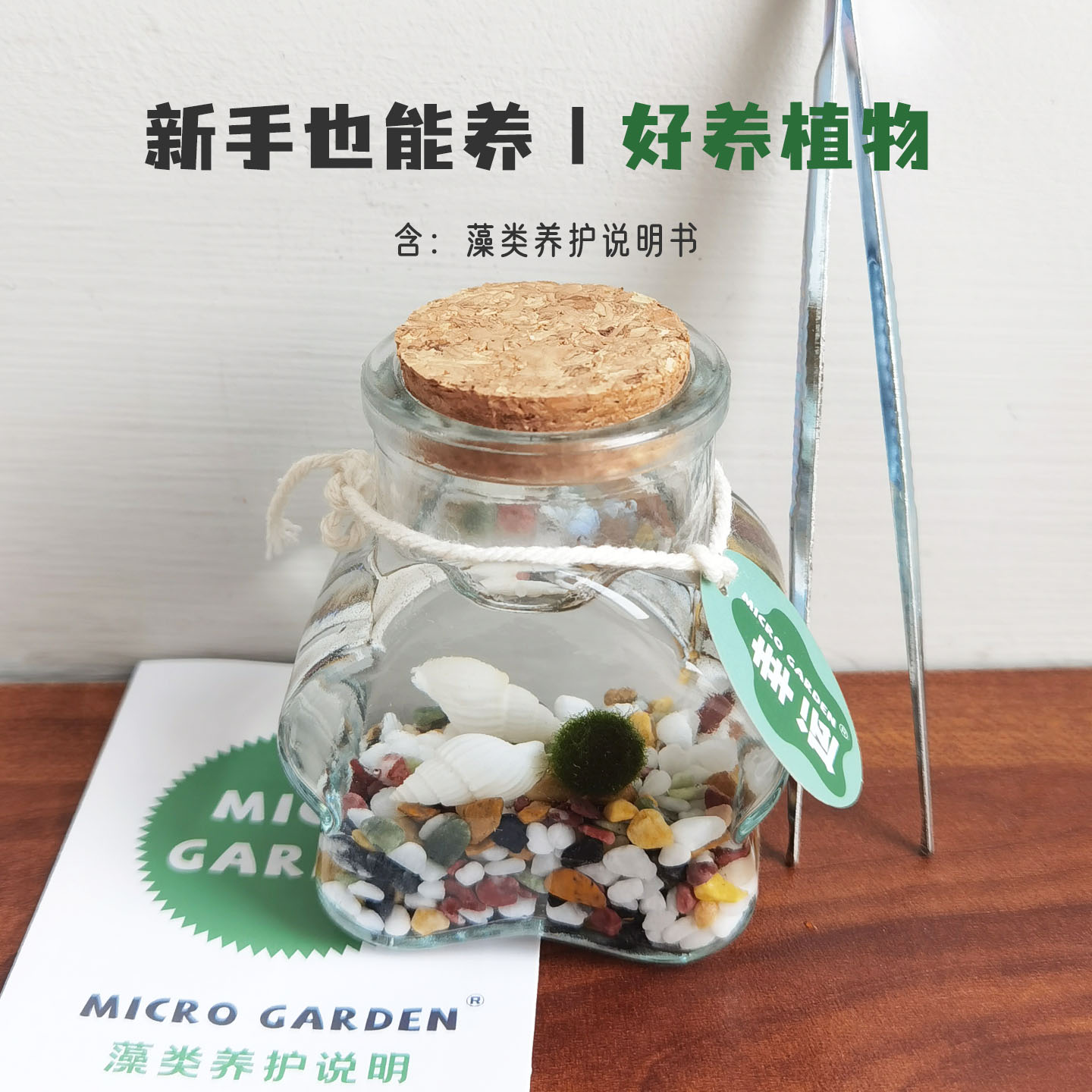 海藻球宠物桌面生态瓶