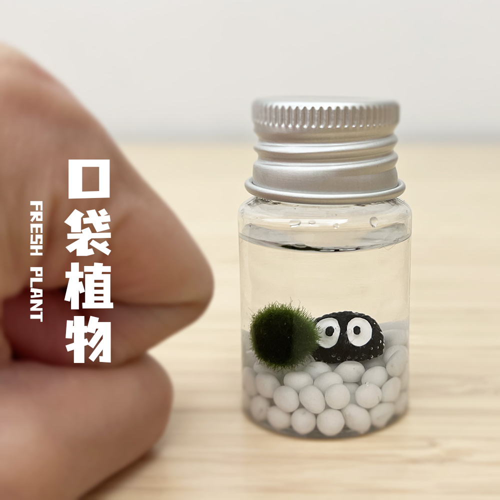海藻球随身瓶小植物桌面宠物迷你生态瓶趣味礼物diy微型盆栽水草