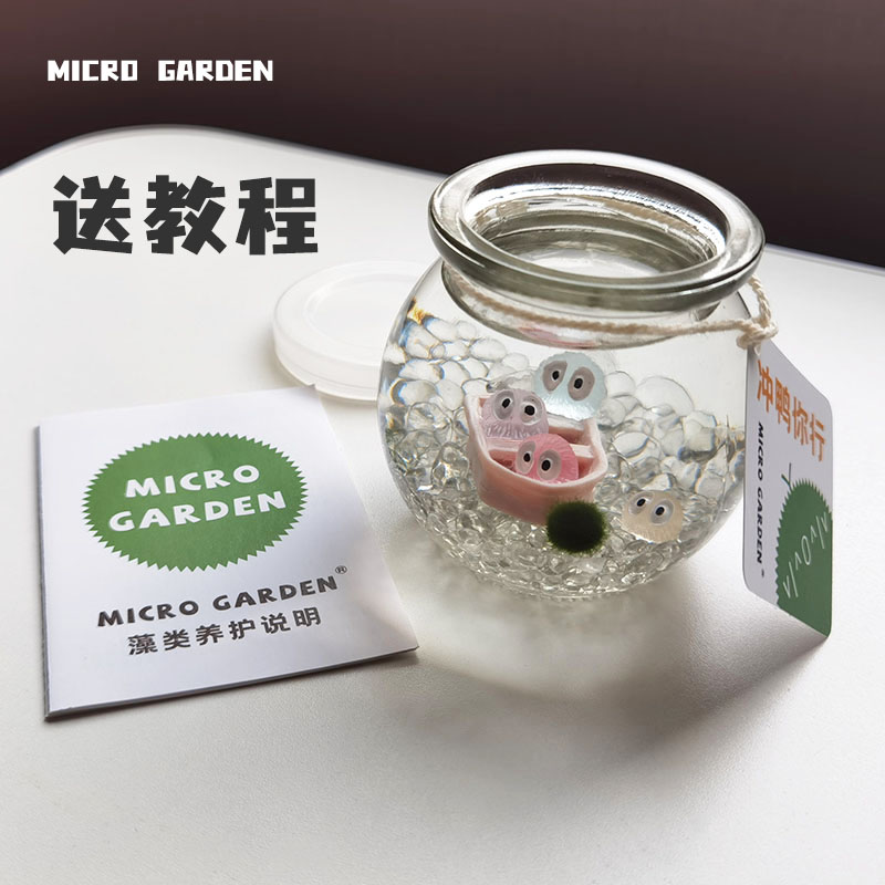 MICROGARDEN海藻球趣味小礼物