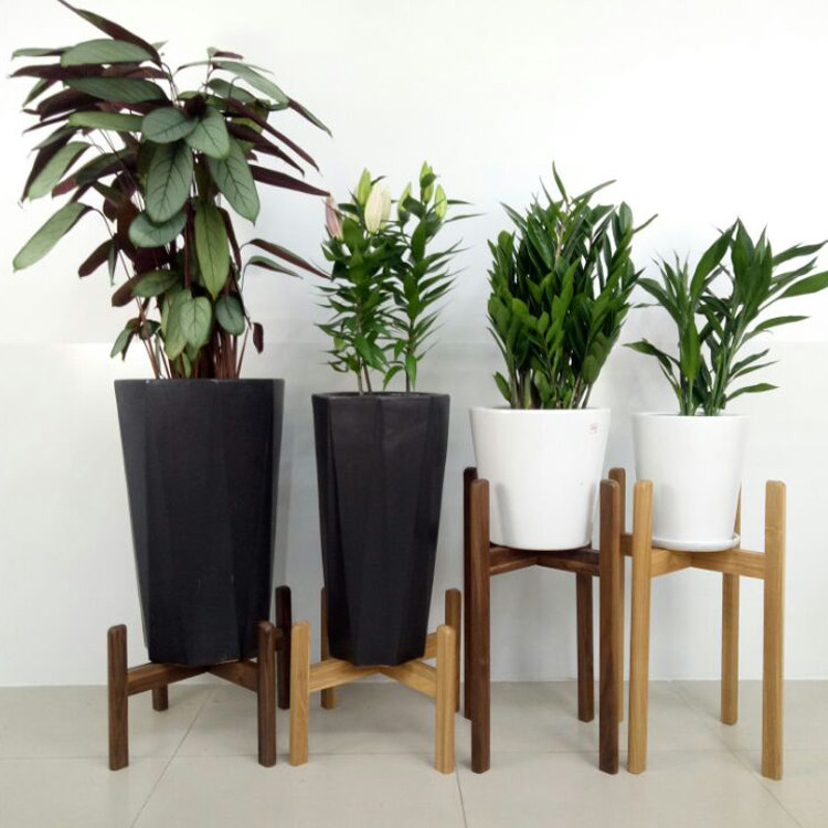 北欧实木花架室内阳台花盆架客厅花架子简约现代黑胡桃木盆栽架托