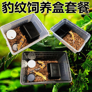 爬虫饲养盒套餐爬宠箱蚕蜘蛛角蛙守宫盒蜥蜴爬行宠物蛇昆虫乌龟缸