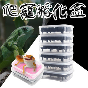 DJ爬宠孵化盒孵化器蛋托守宫鬃狮蜥玩具蛇孵蛋器乌龟蛋孵化器