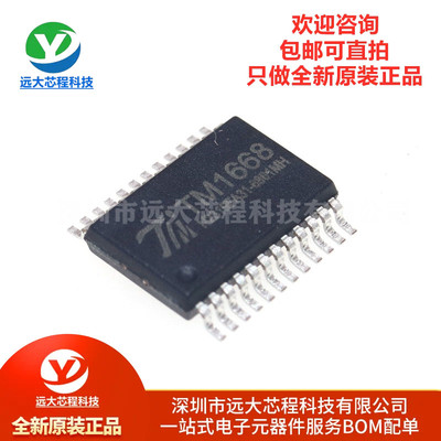 原装正品 贴片 TM1668 SSOP-24 带键盘扫描接口的LED驱动控制IC