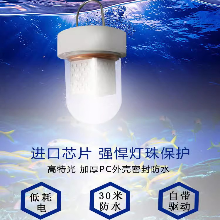鱿鱼灯筏钓灯翘嘴诱鱼灯夜钓灯