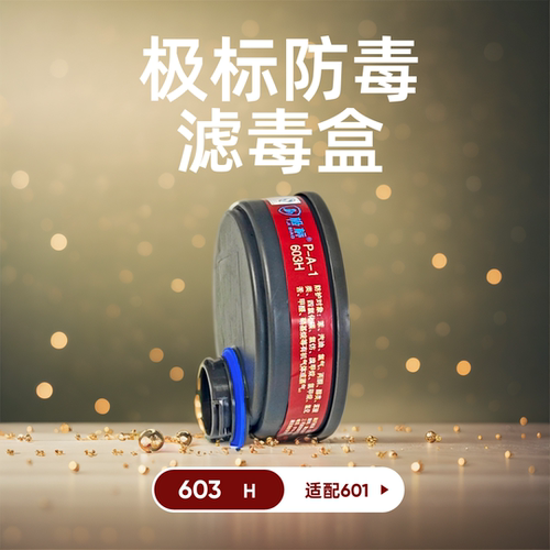 极标601防毒口罩603H滤毒盒