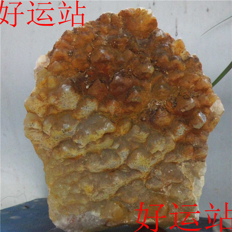 促销黄龙玉奇石摆件疙瘩皮玉佩黄蜡石手玩物镇宅灵石雕刻料原石件