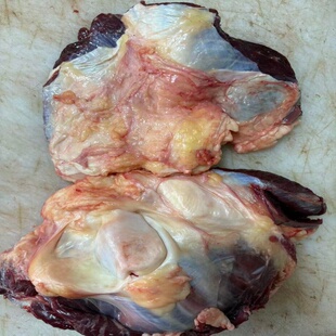 内蒙古呼伦贝尔黄膘牛窝骨，红烧筋多草饲养新鲜牛窝骨6斤