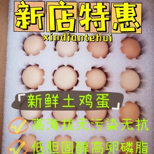 包邮 贵州高山新鲜云雾土鸡蛋国家质检可生食40枚无激素谷物胡萝卜