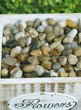 青苔仿真多肉植物盆栽装饰品