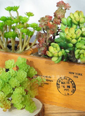 DIY墙假花头盆栽客厅多肉植物