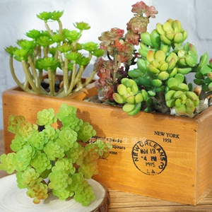 仿真多肉植物批绿色植物墙假花头DIY组合盆栽客厅家居饰品摆件