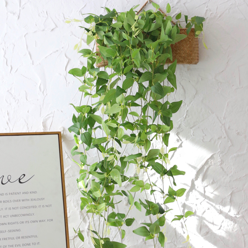 仿真植物绿植壁挂吊篮塑料假花装饰藤条蔓树叶室内阳户外家居摆件