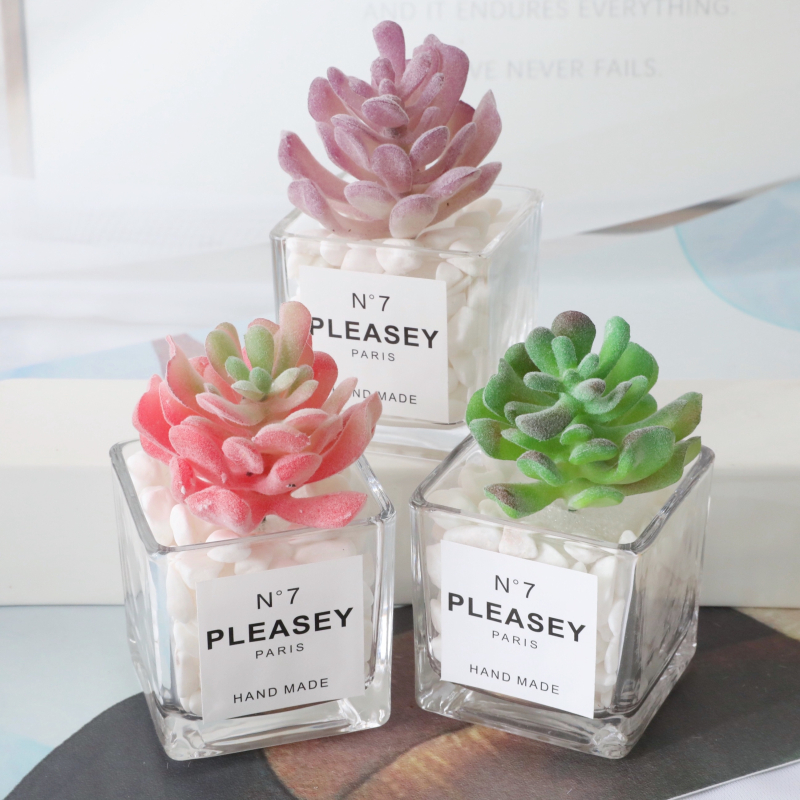 仿真多肉植物假干花绿植组合室内桌面书架小盆栽家居装饰品摆设件