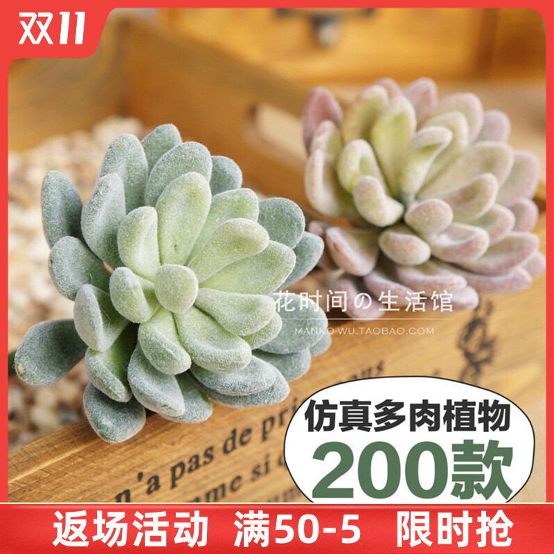 仿真多肉植物ins北欧假花绿植墙室内家居装饰品摆件组合盆栽套装
