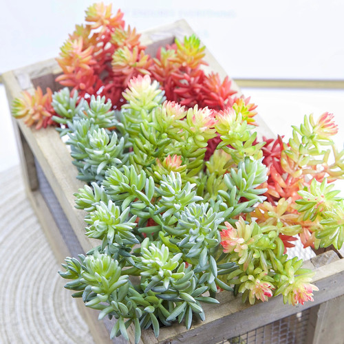 仿真多肉植物高品质手感软胶塑料假花绿植室内家居造景设计摆设品