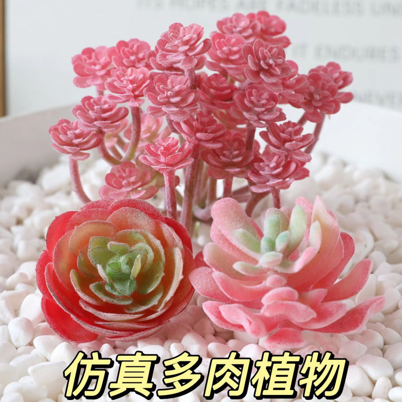 仿真多肉植物ins风潮流植物盆栽假花组合家居客厅艺术装饰摆放件