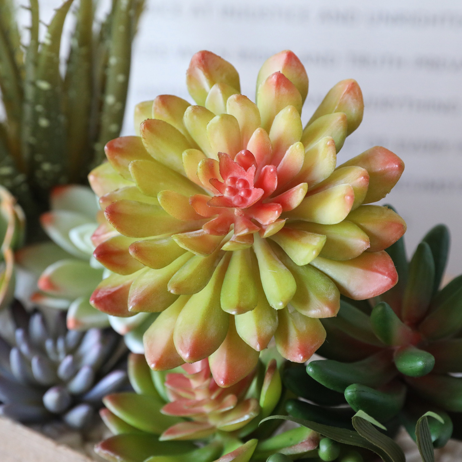 仿真多肉植物软胶手感假花广东