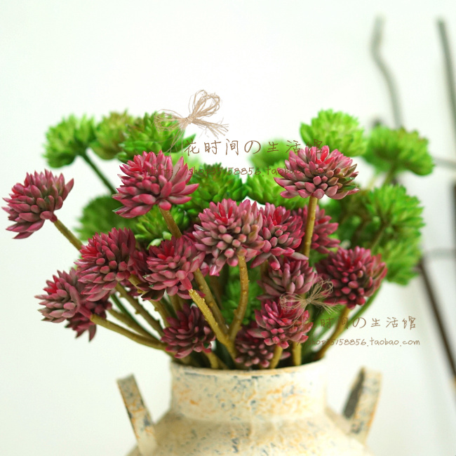 多肉植物石莲沙漠家居办公室假花