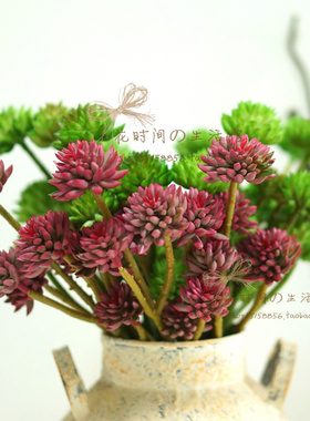 多肉植物石莲沙漠家居办公室假花