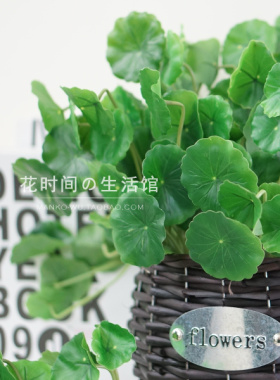 仿真植物铜钱草塑料花假花绿色植物墙面客厅家居装饰品软装摆件