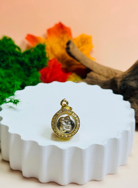 泰国佛牌搬运工 阿赞巴素，阿赞扁，破普yai，纯银燕通意大利金壳