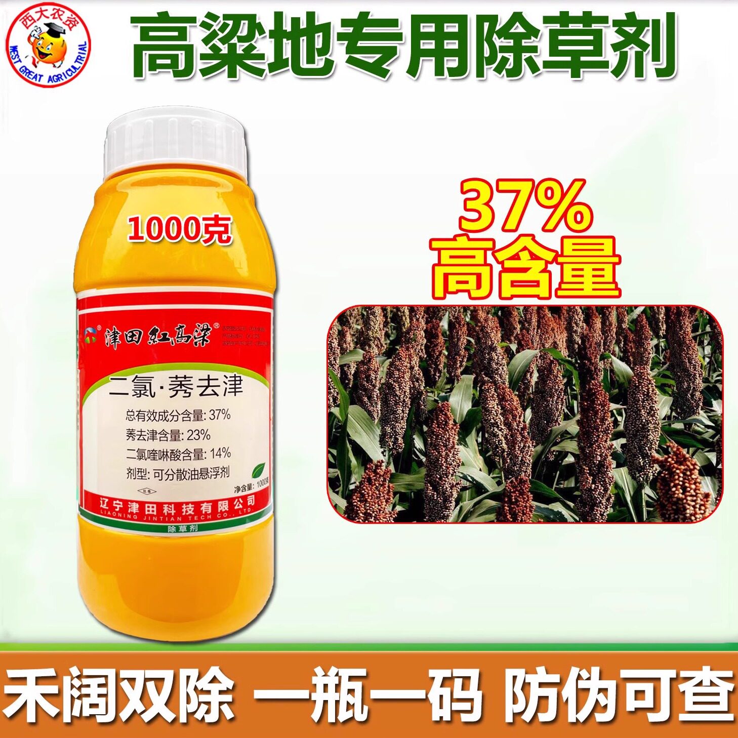 高粱田苗后专用除草剂津田二氯喹啉酸莠去津禾阔双杀杂草烂根农药 - 实物图