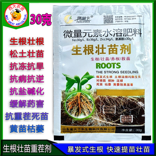 强力生根壮苗剂蔬菜西葫芦促生根移栽扦插提苗促成活氨基酸叶面肥