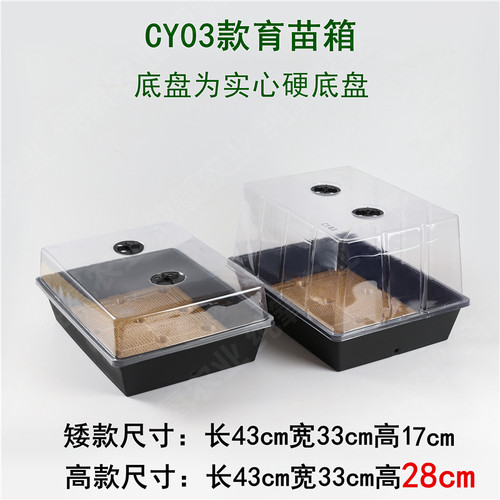 多肉玉露花盆组合托盘育苗盒