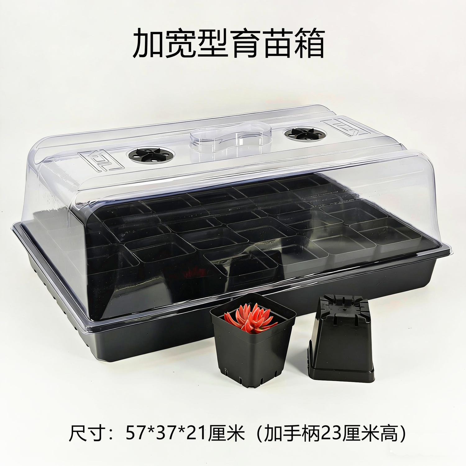 超大育苗箱 加宽 出口欧洲 育苗盒 闷养种植箱 阳台种植 迷你温室,鲜花速递/花卉仿真/绿植园艺,育苗盘/营养钵,淘宝优惠券,粉丝福利购,淘宝优惠卷