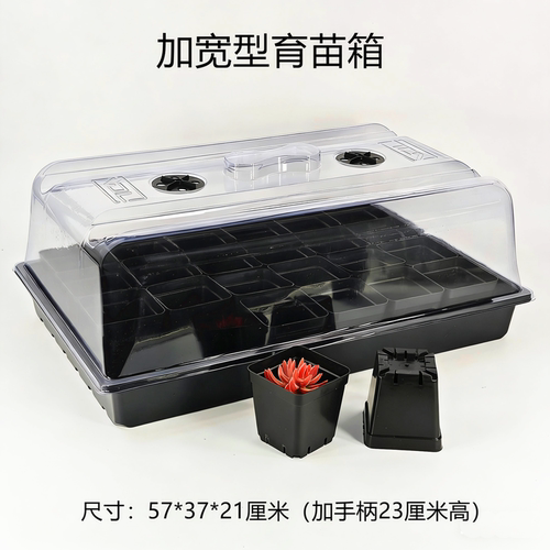 加宽育苗箱播种扦插多肉