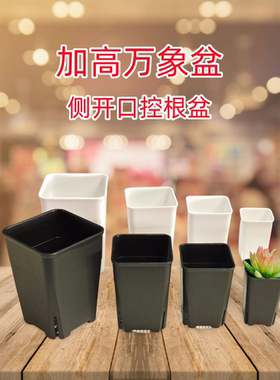 塑料花盆加高加厚玉露多肉