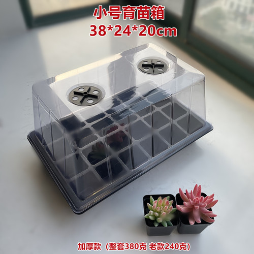 多肉花卉植物种子保湿育苗盘