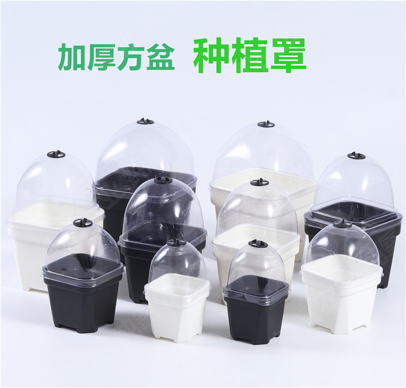 方形盖子加厚花盆带盖子闷养罩透明蒲苇播种多肉黑方白色黑色透气,鲜花速递/花卉仿真/绿植园艺,花盆,淘宝优惠券,粉丝福利购,淘宝优惠卷