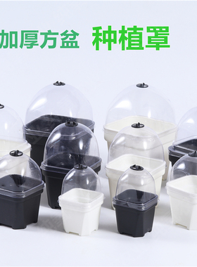 方形盖子加厚花盆带盖子闷养罩透明蒲苇播种多肉黑方白色黑色透气