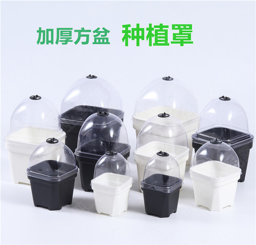 带盖子闷养播种黑方黑色透气蒲苇