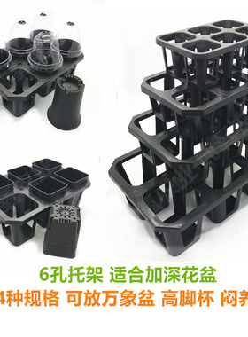 6孔多肉万象盆托架塑料花盆黑方闷养育苗盒蓄水盘托盘不漏水加厚