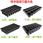 50孔育苗盘穴盘 加深 林木育苗 加厚营养钵多肉苗 树苗
