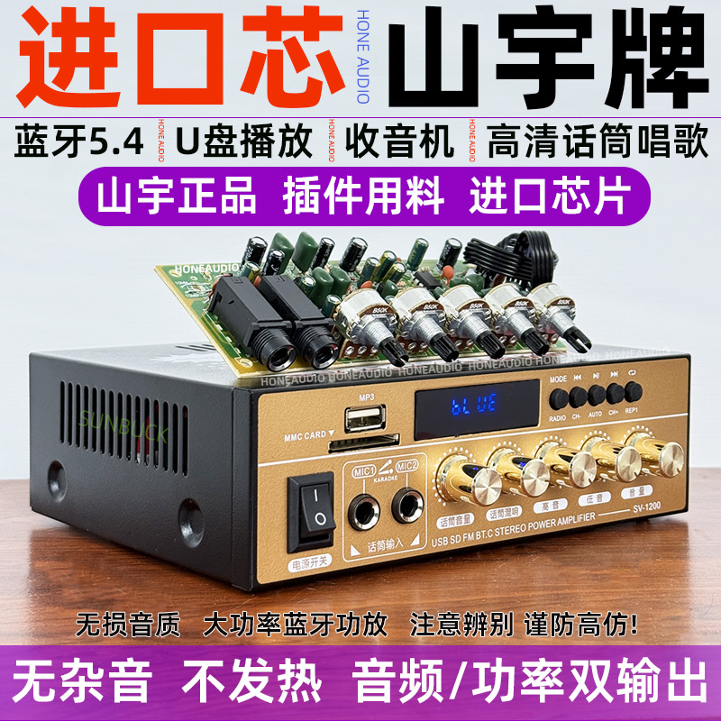 220V大功率蓝牙5.4hifi功放机家用户外无损12V插卡U盘收音空放机