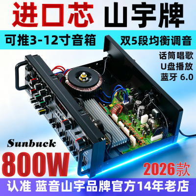 蓝牙6.0大功率功放12V/K歌EQ
