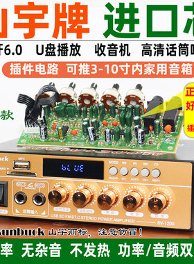 220V大功率蓝牙6.0 hifi功放机家用户外无损12V插卡U盘收音空放机