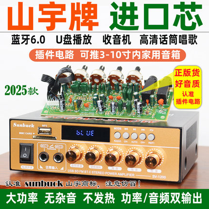 220V大功率蓝牙6.0 hifi功放机家用户外无损12V插卡U盘收音空放机