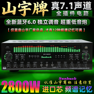 专业超大功率7.1声道家庭影院蓝牙6.0功放家用KTV重低音环绕立体