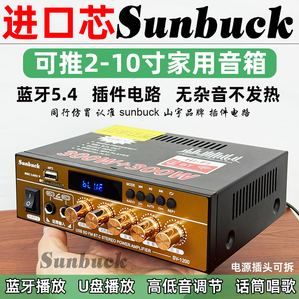220V大功率蓝牙5.4hifi功放机家用户外无损12V插卡U盘收音空放机