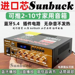 220V大功率蓝牙6.0 hifi功放机家用户外无损12V插卡U盘收音空放机