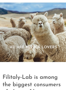 意大利进口Filitaly-Lab的高比例baby小羊驼毛彩点花式手编拉毛线